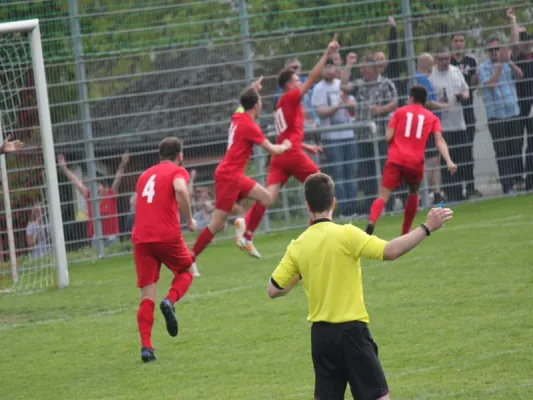 TSV Hertingshausen vs. BC Sport Kassel