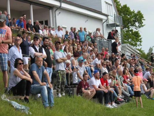 TSV Hertingshausen vs. BC Sport Kassel