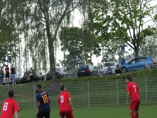 TSV Hertingshausen vs. BC Sport Kassel