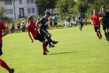 SG Wolfershausen/Brunslar vs. TSV Hertingshausen