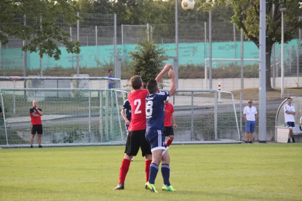 TSV Hertingshausen vs. SG Bad Wildungen/Friedrichs