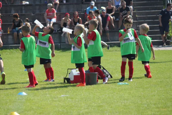 TSV Hertingshausen vs. SVH Kassel III.