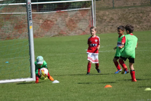 TSV Hertingshausen vs. SVH Kassel III.