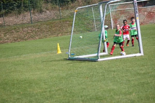 TSV Hertingshausen vs. SVH Kassel III.