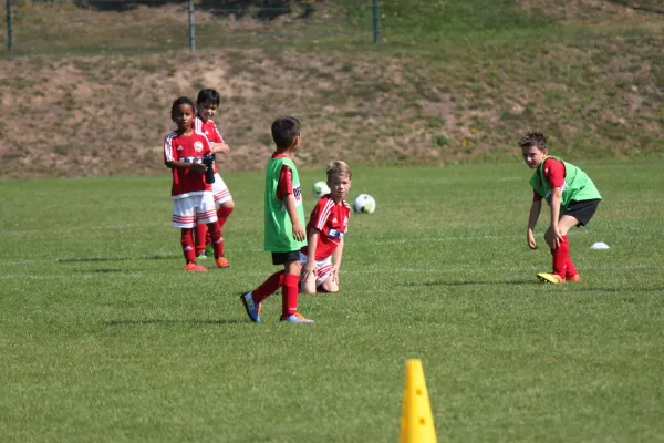 TSV Hertingshausen vs. SVH Kassel III.