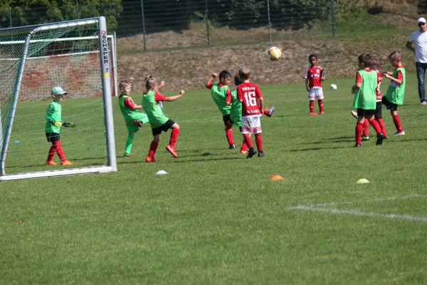 TSV Hertingshausen vs. SVH Kassel III.