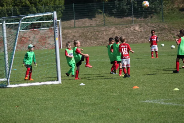 TSV Hertingshausen vs. SVH Kassel III.