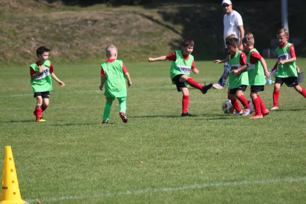 TSV Hertingshausen vs. SVH Kassel III.