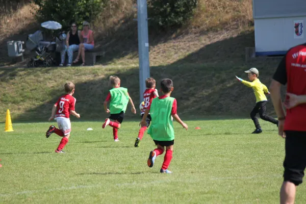 TSV Hertingshausen vs. SVH Kassel III.