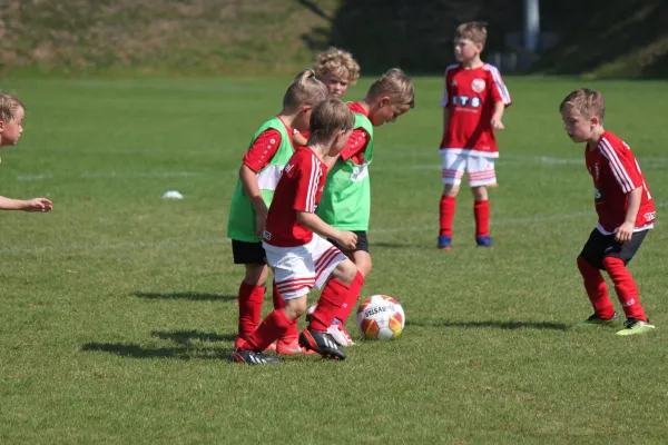 TSV Hertingshausen vs. SVH Kassel III.