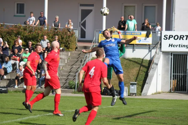 TSV Hertingshausen vs. SG Kirchberg/Lohne