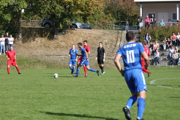 TSV Hertingshausen vs. SG Kirchberg/Lohne