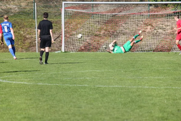 TSV Hertingshausen vs. SG Kirchberg/Lohne