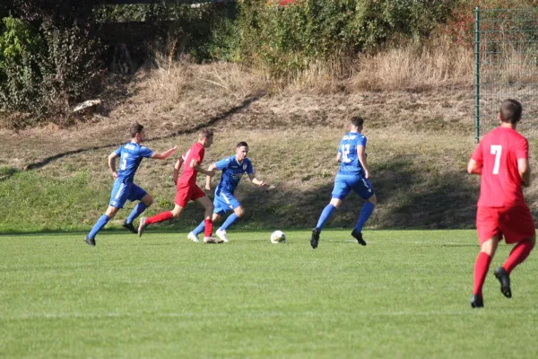 TSV Hertingshausen vs. SG Kirchberg/Lohne