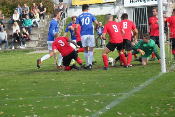 TSV Hertingshausen vs. TSV 1900 Wabern