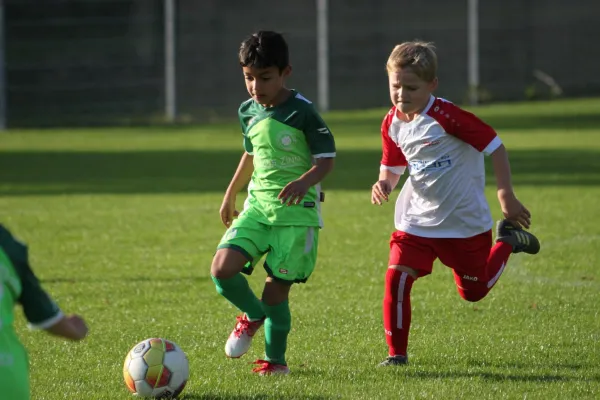 TSV Hertingshausen vs. Olympia Kassel II