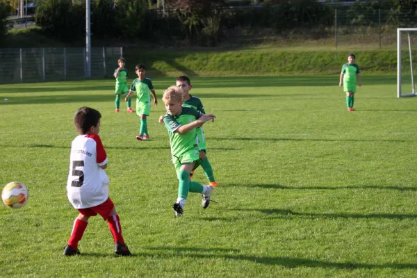 TSV Hertingshausen vs. Olympia Kassel II