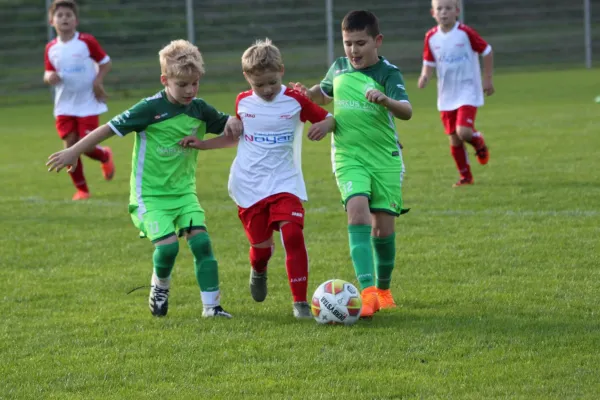 TSV Hertingshausen vs. Olympia Kassel II