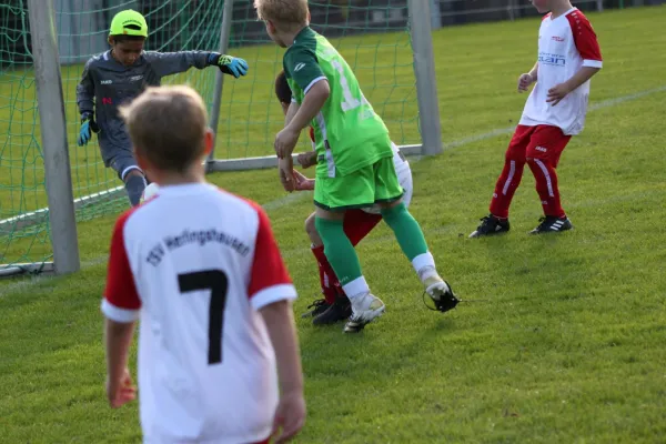 TSV Hertingshausen vs. Olympia Kassel II