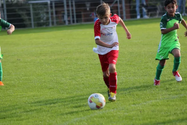 TSV Hertingshausen vs. Olympia Kassel II