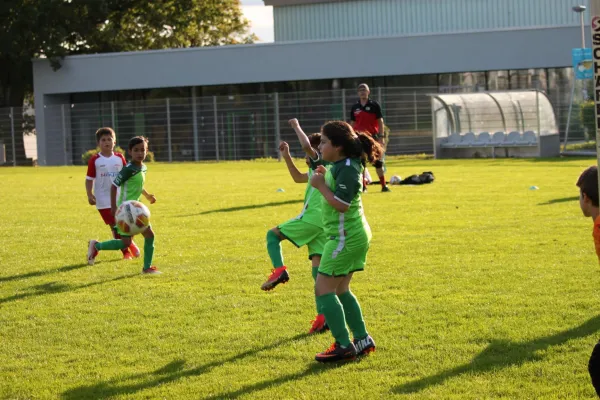 TSV Hertingshausen vs. Olympia Kassel II