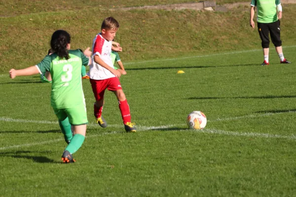 TSV Hertingshausen vs. Olympia Kassel II