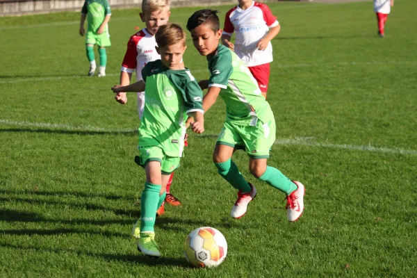 TSV Hertingshausen vs. Olympia Kassel II