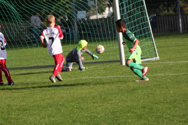 TSV Hertingshausen vs. Olympia Kassel II