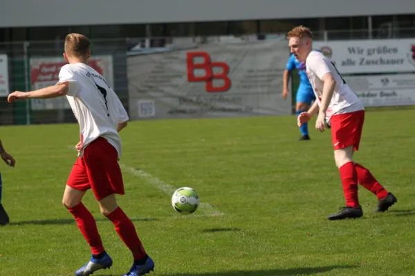 TSV Hertingshausen II : BC Sport Kassel II