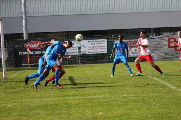 TSV Hertingshausen II : BC Sport Kassel II