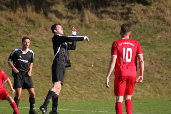 TSV Hertingshausen vs. SG Goddelsheim/Münden