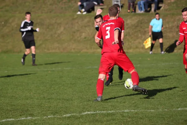 TSV Hertingshausen vs. SG Goddelsheim/Münden