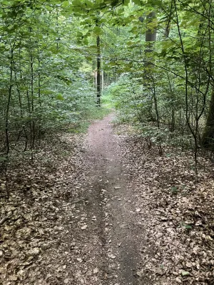 Wanderung zum Hirzstein