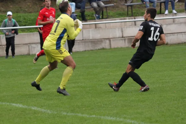 SG Bad Wildungen/Friedr. vs. TSV Hertingshausen