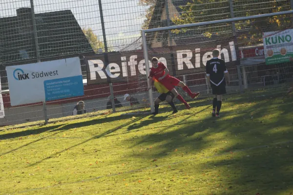 TSV Hertingshausen  gegen SG Münden/Goddelsheim