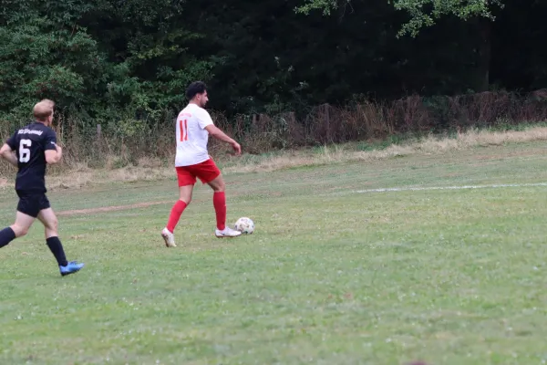 SG Söhrewald II vs. TSV Hertingshausen II