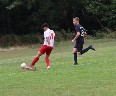 SG Söhrewald II vs. TSV Hertingshausen II