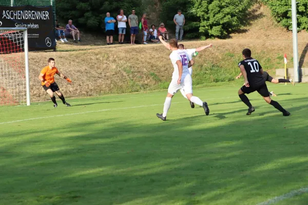 TSV Hertingshausen vs. SG Schauenburg