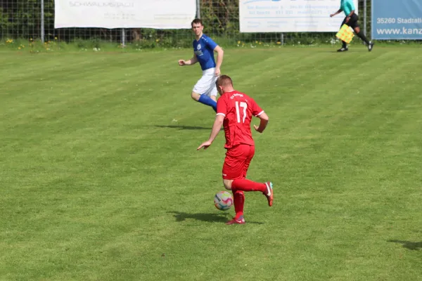 TSV Mengsberg : TSV Hertingshausen