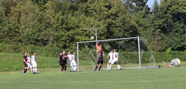 Tuspo Grebenstein vs. TSV Hertingshausen