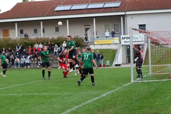 TSV Hertingshausen vs. SG Reinhardshagen