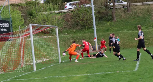 TSV Hertingshausen vs. TuSpo Grebenstein