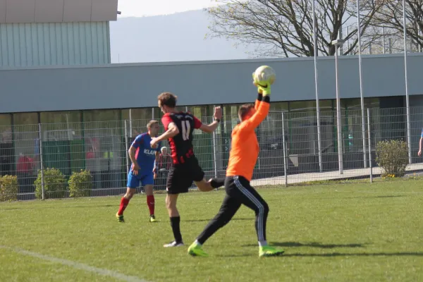 TSV Hertingshausen : BC Sport Kassel