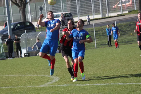 TSV Hertingshausen : BC Sport Kassel