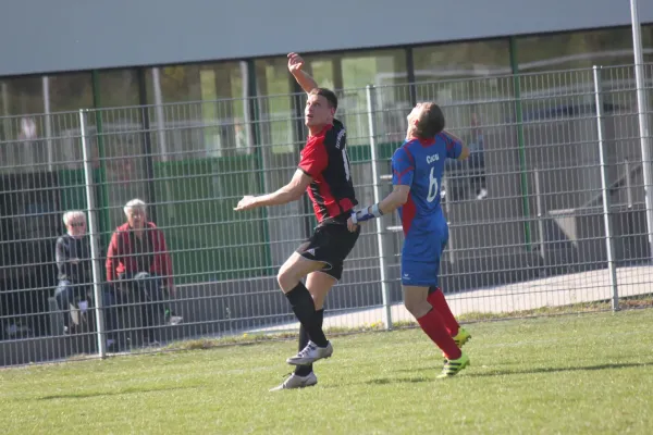 TSV Hertingshausen : BC Sport Kassel