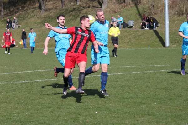 26.03.2017 TSV Hertingshausen vs. Vikt. Bettenhsn.