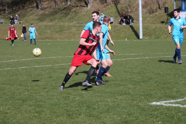 26.03.2017 TSV Hertingshausen vs. Vikt. Bettenhsn.