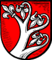 SG Söhrewald II