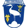 TSV Wabern