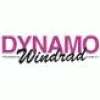 Dynamo Windrad AH